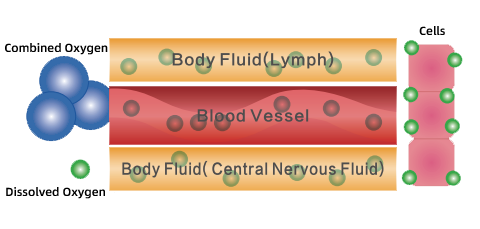 combined_and_dissolve_oxygen.png