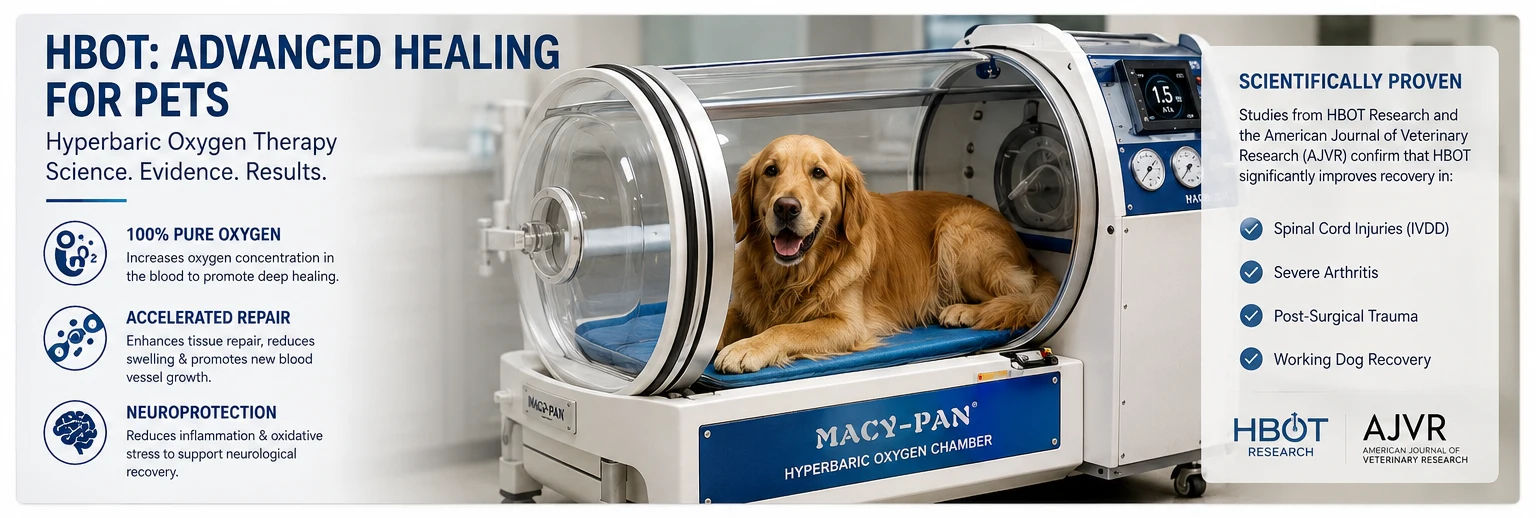 hbot-advanced-healing-for-pets.webp