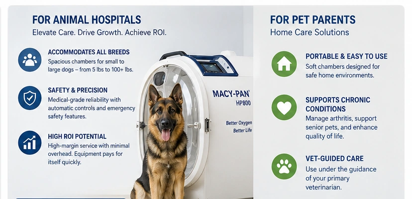 hbot-for pets.webp